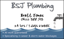 BSJ Plumbing Business Card